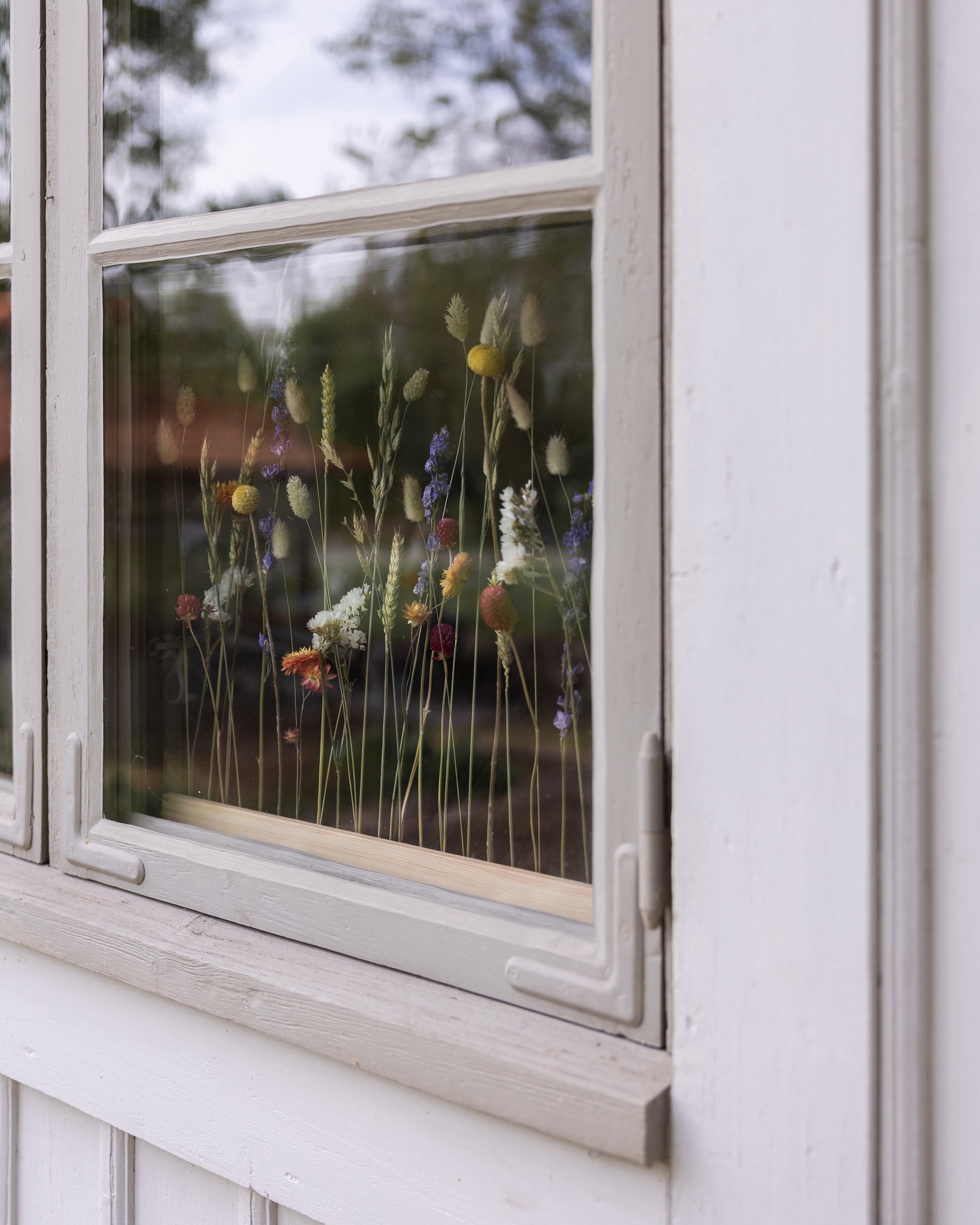 Blomliste - Summer bloom