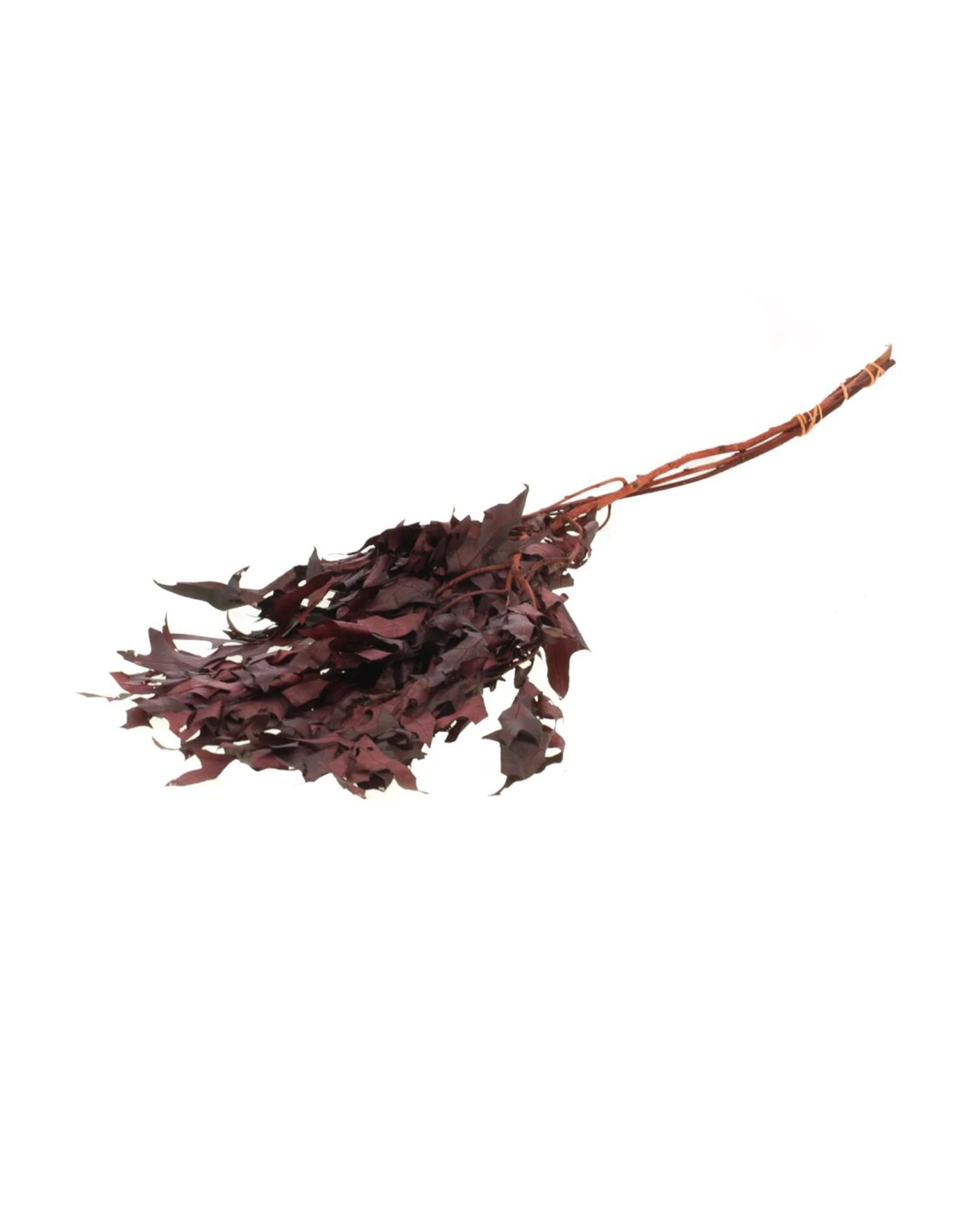 Egeblade Bordeaux – andensortering