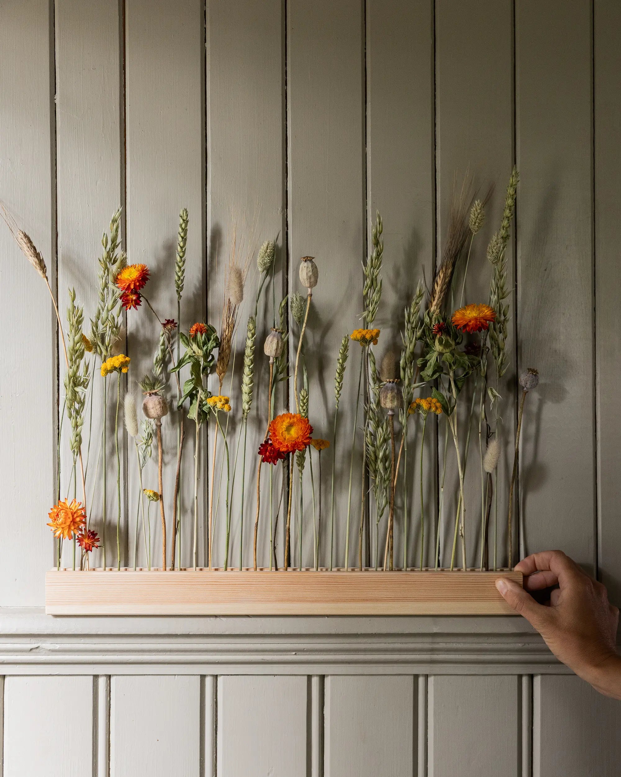 Blomliste Eg - Autumn Glow