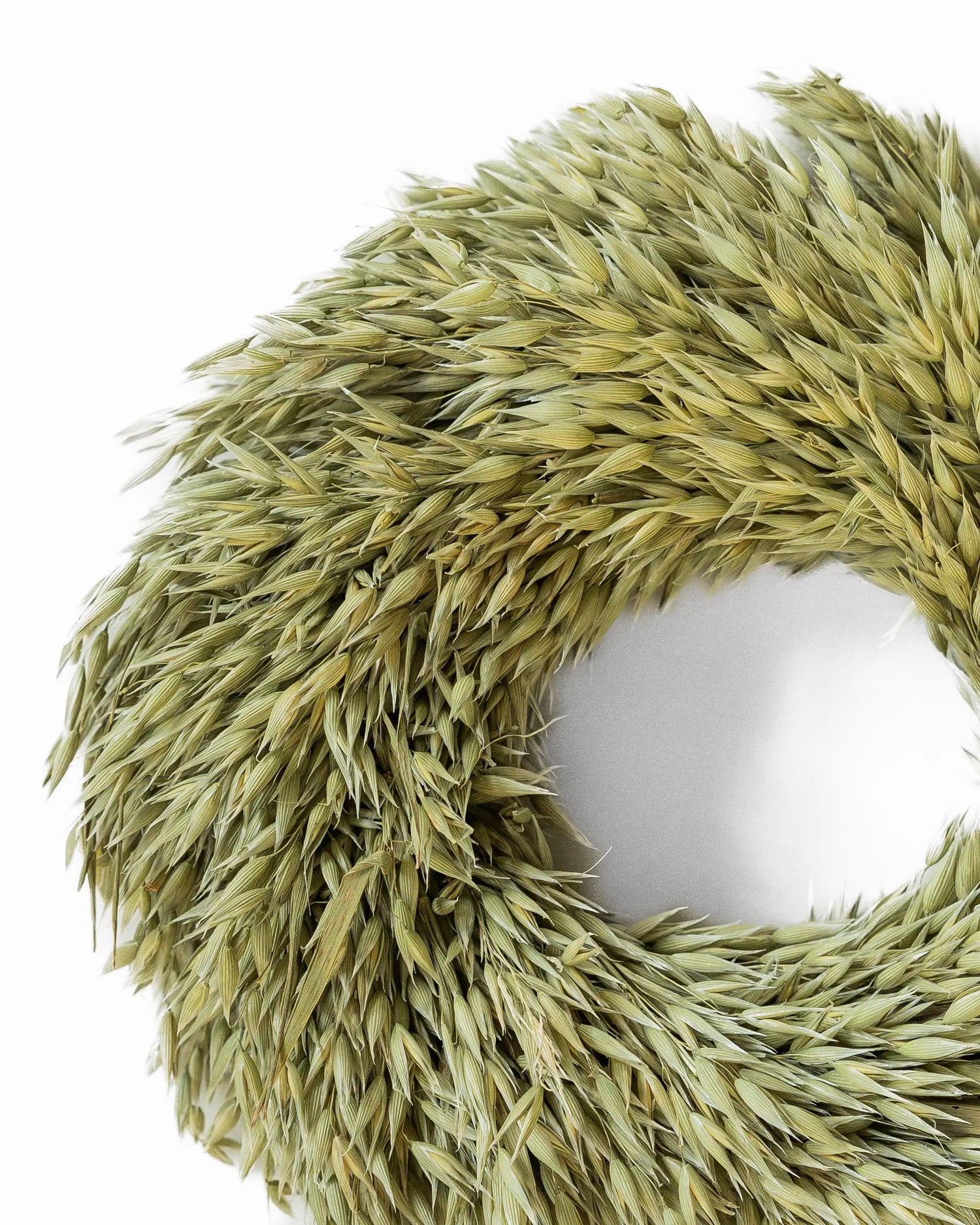 Torkade blommor - Havrekrans