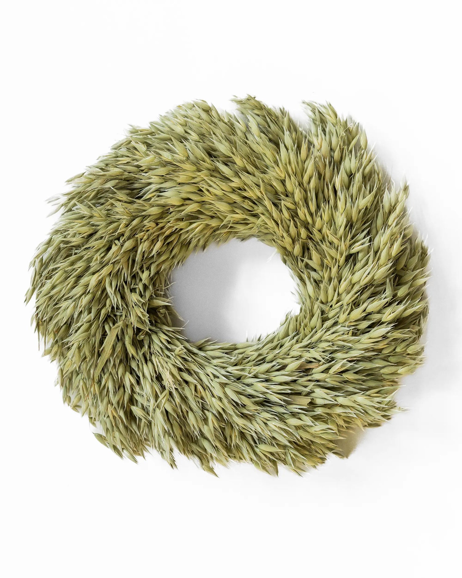 Torkade blommor - Havrekrans