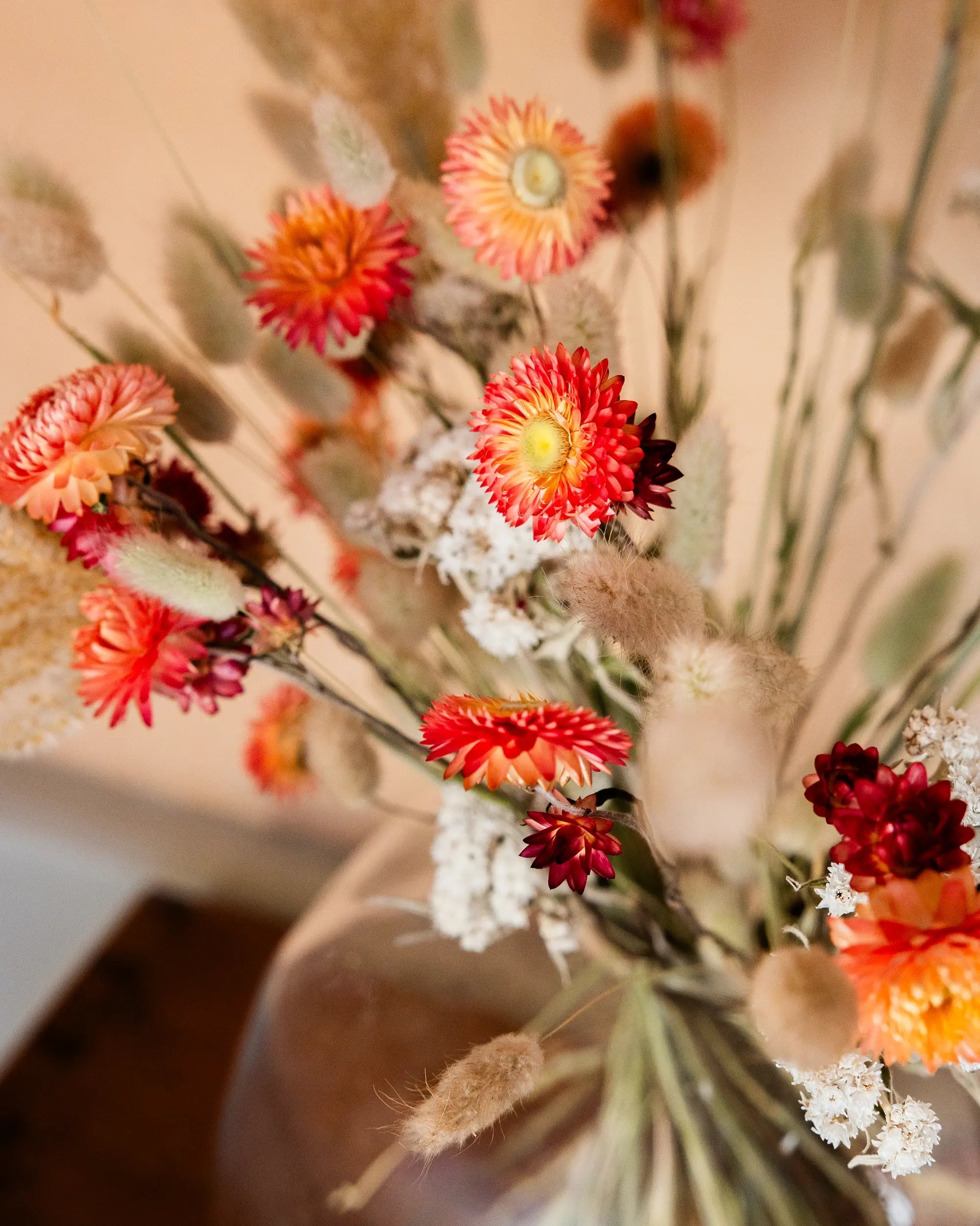 Torkade blommor - Helichrysum Aprikos