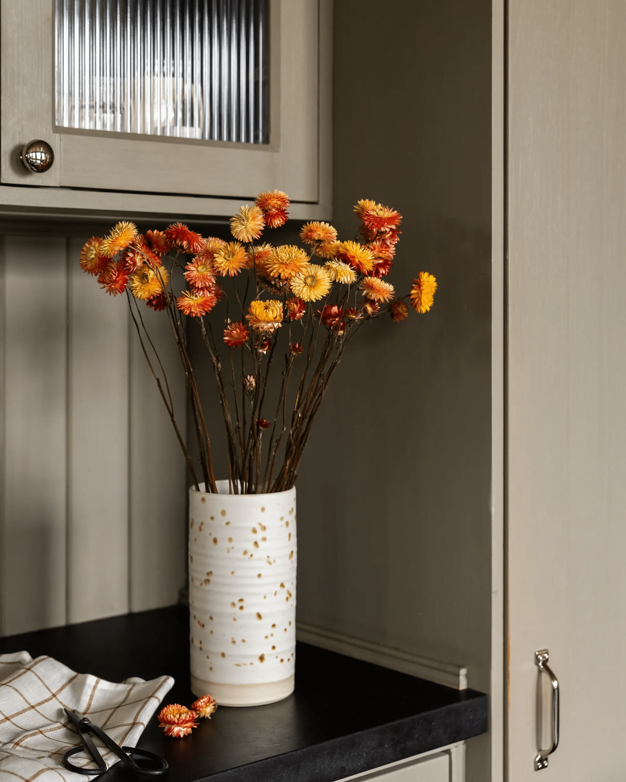 Torkade blommor - Helichrysum Aprikos