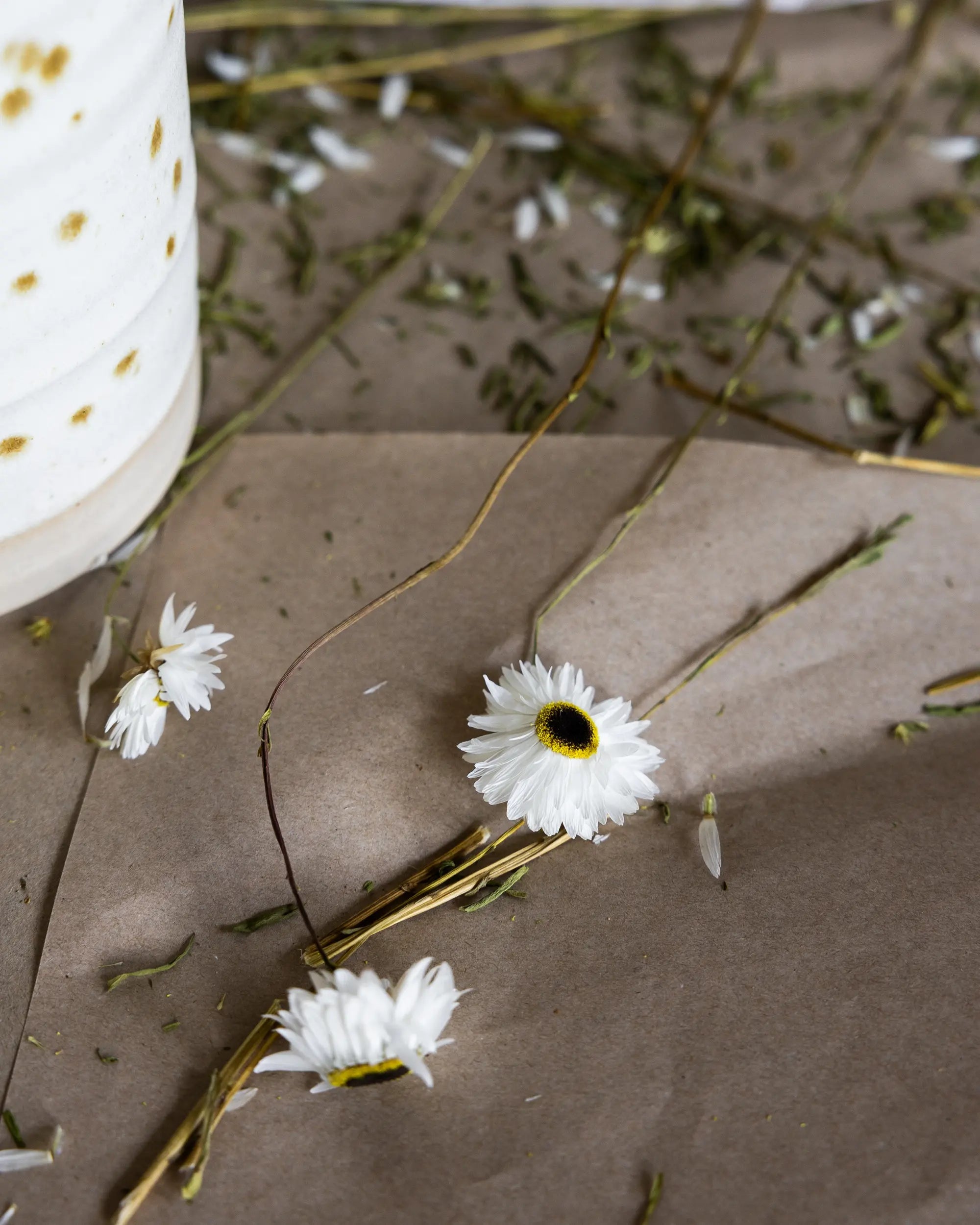 Torkade blommor - Pappersprästkrage