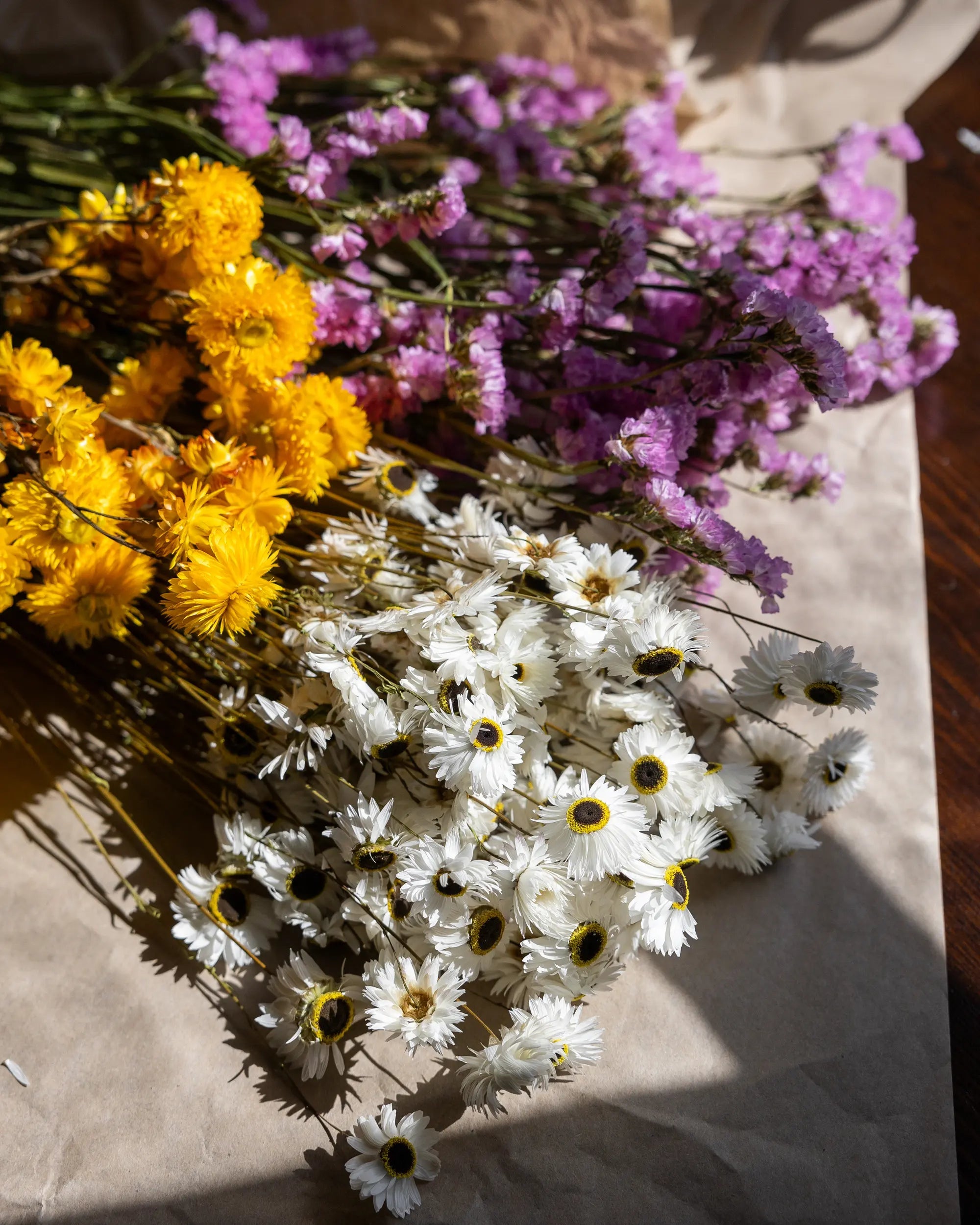 Torkade blommor - Pappersprästkrage