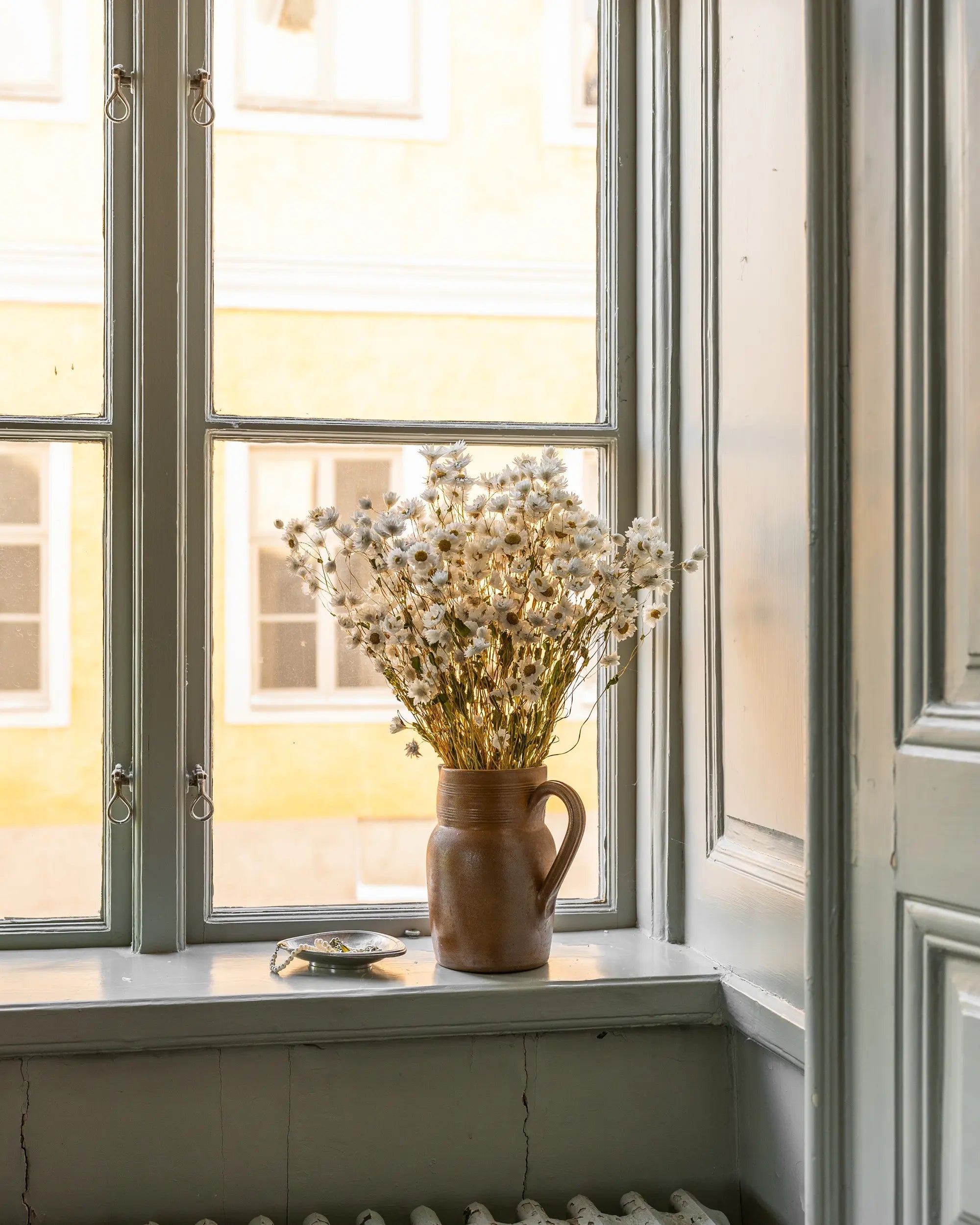 Torkade blommor - Roseternell