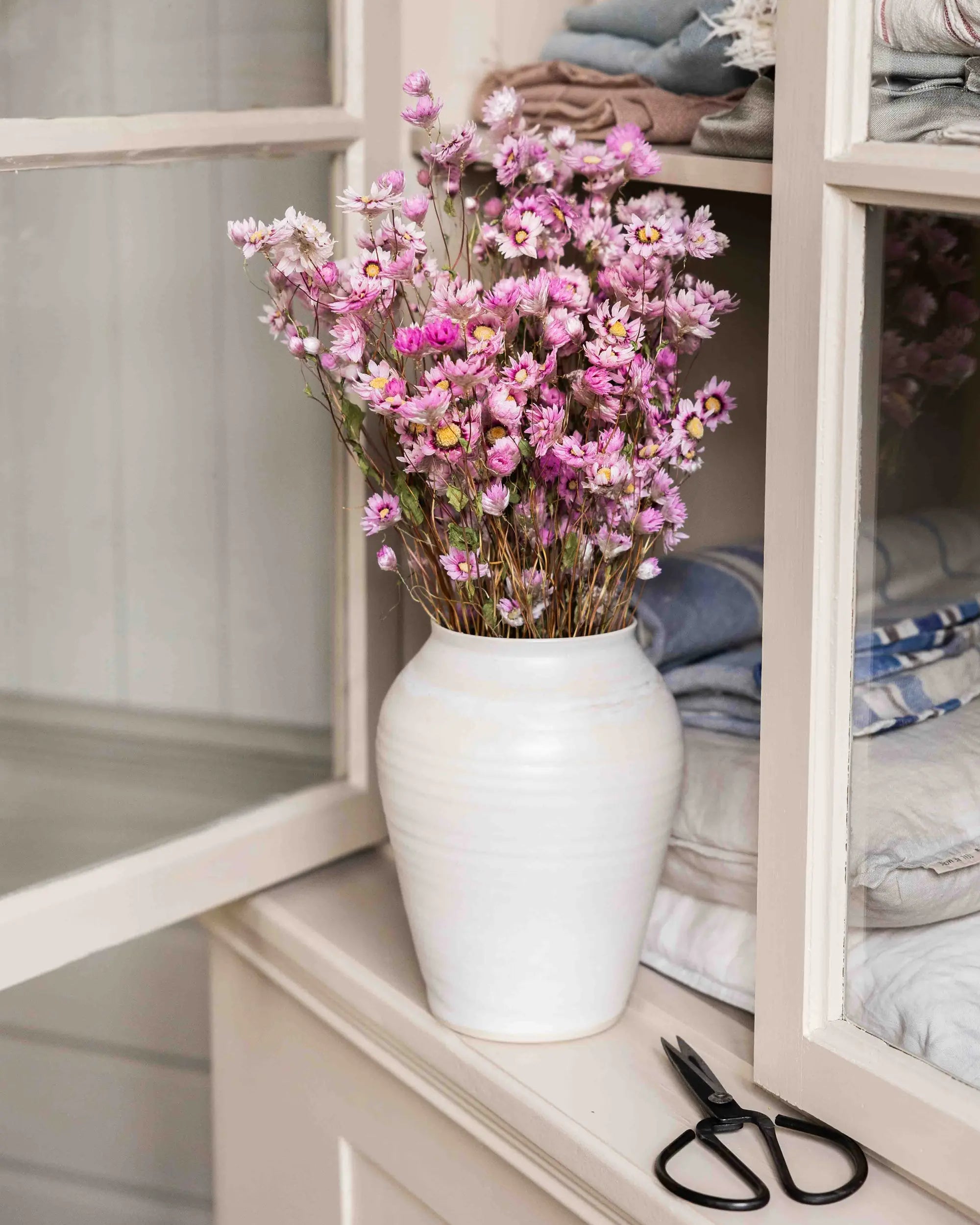 Torkade blommor - Roseternell Rosa