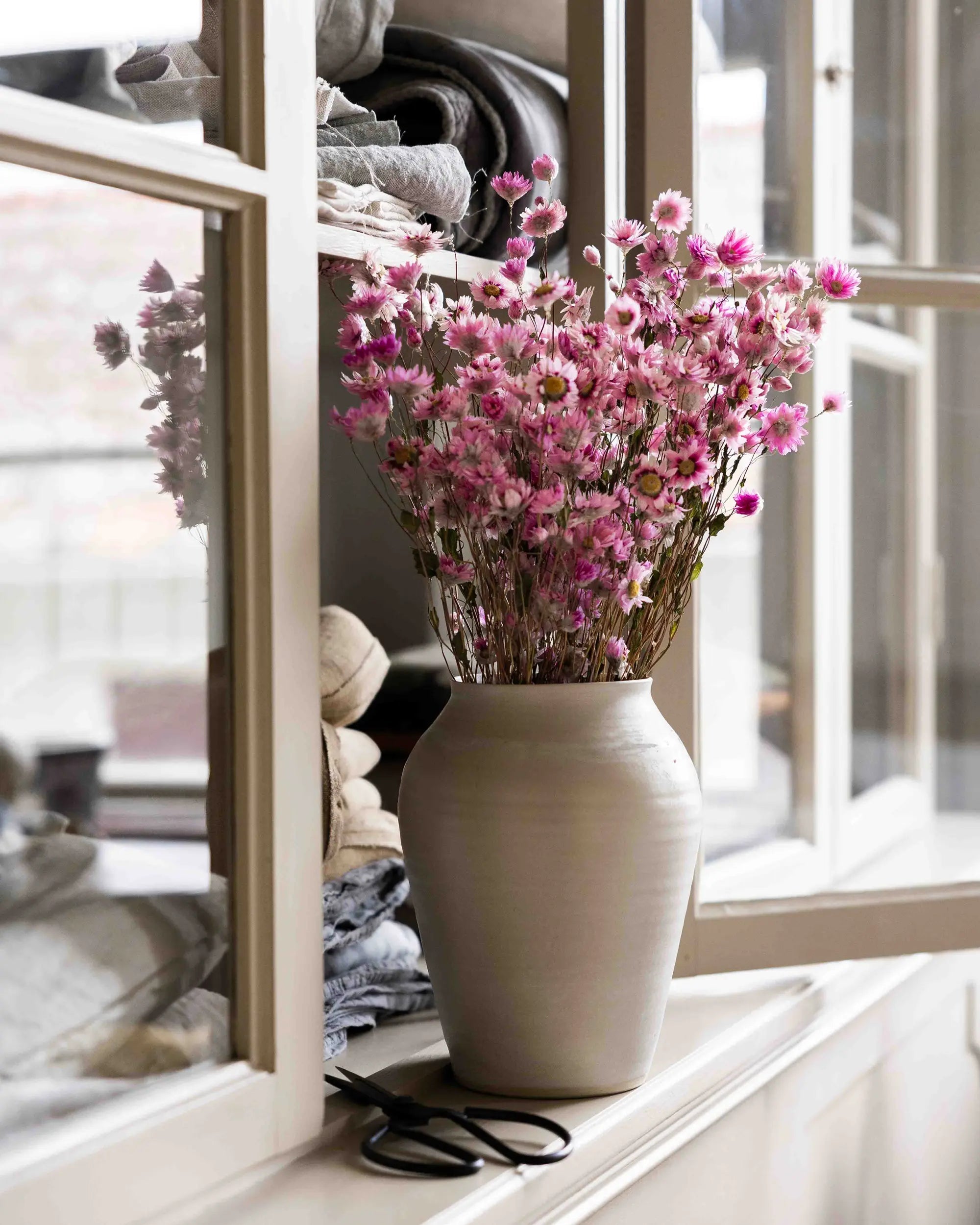 Torkade blommor - Roseternell Rosa