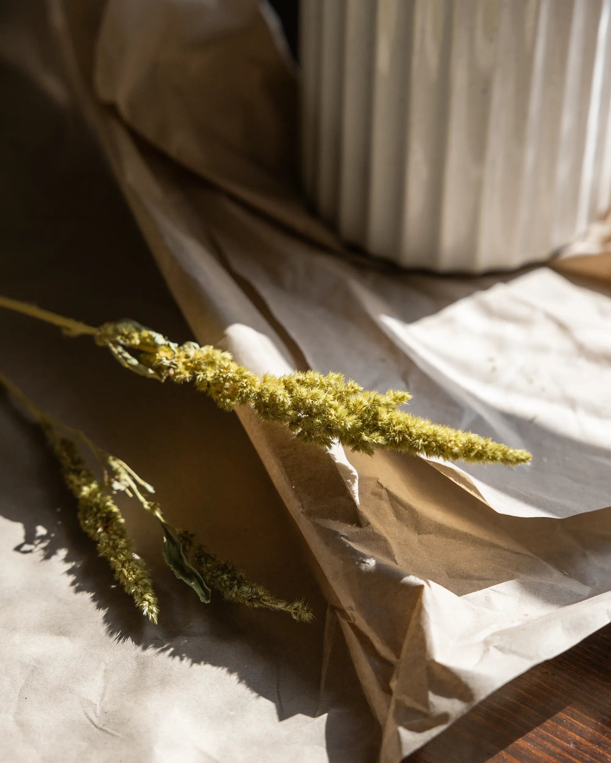 Torkade blommor - Torkad Amarant