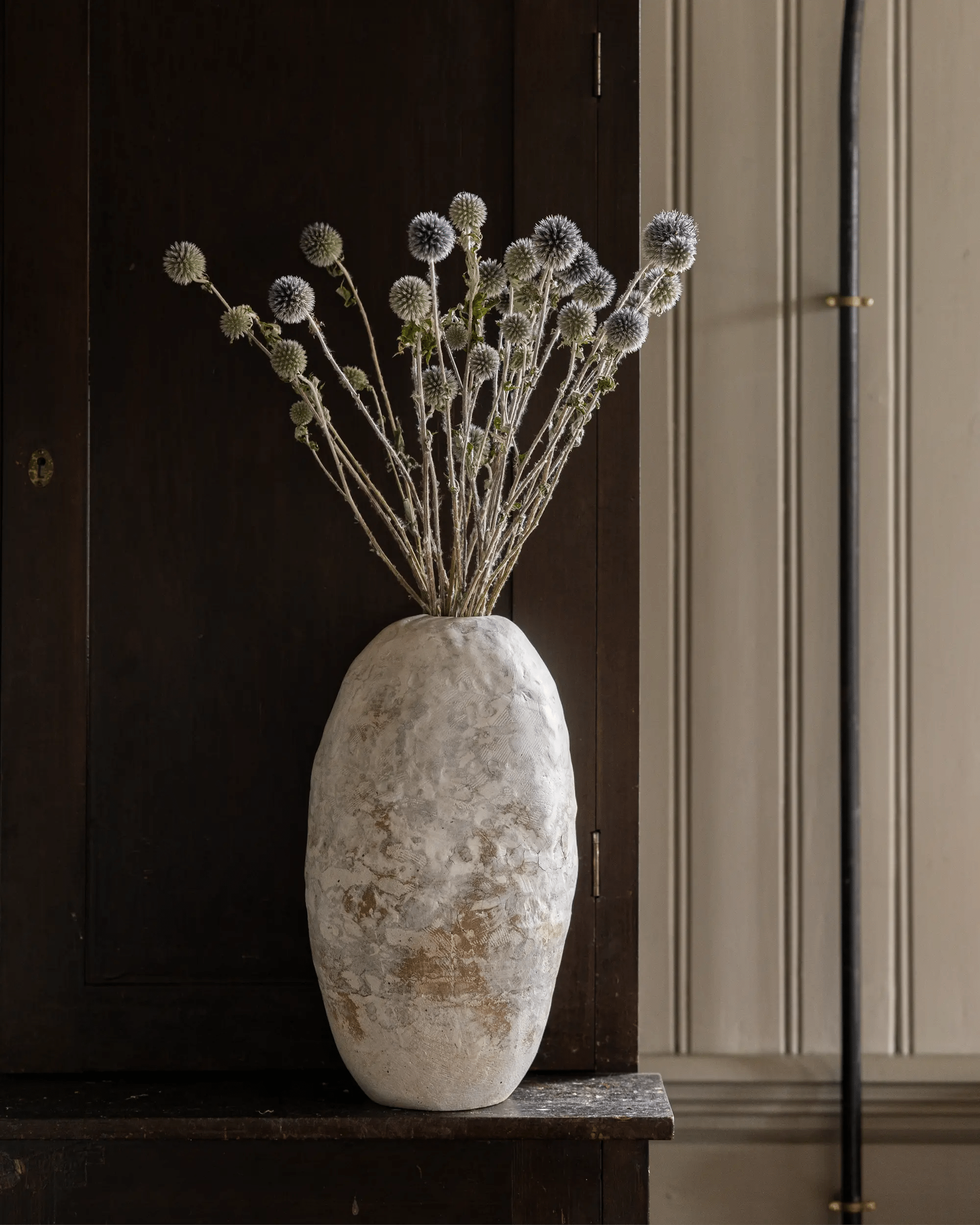 Torkade blommor - Torkad Bolltistel