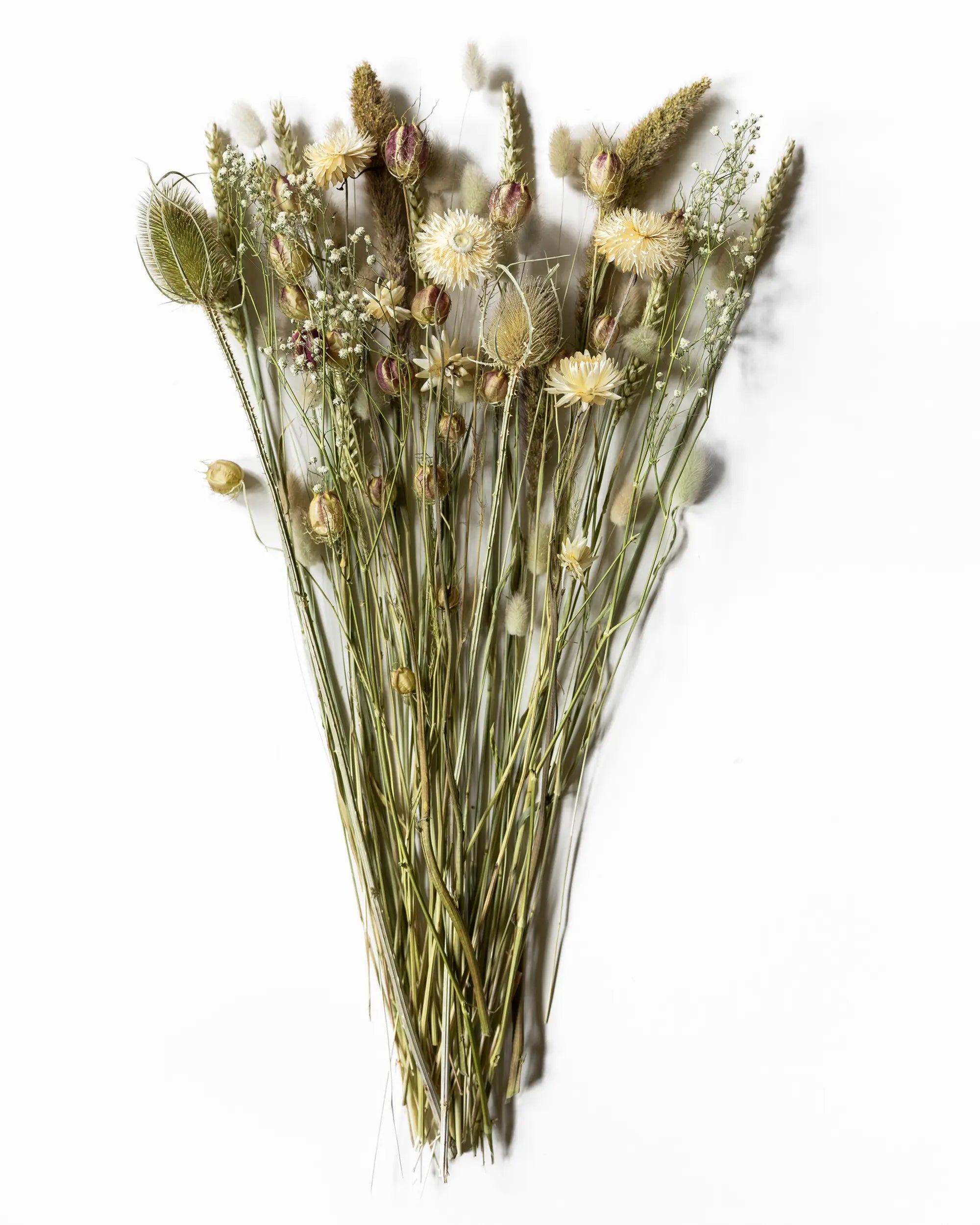 Torkade blommor - Torkad Bukett Advent