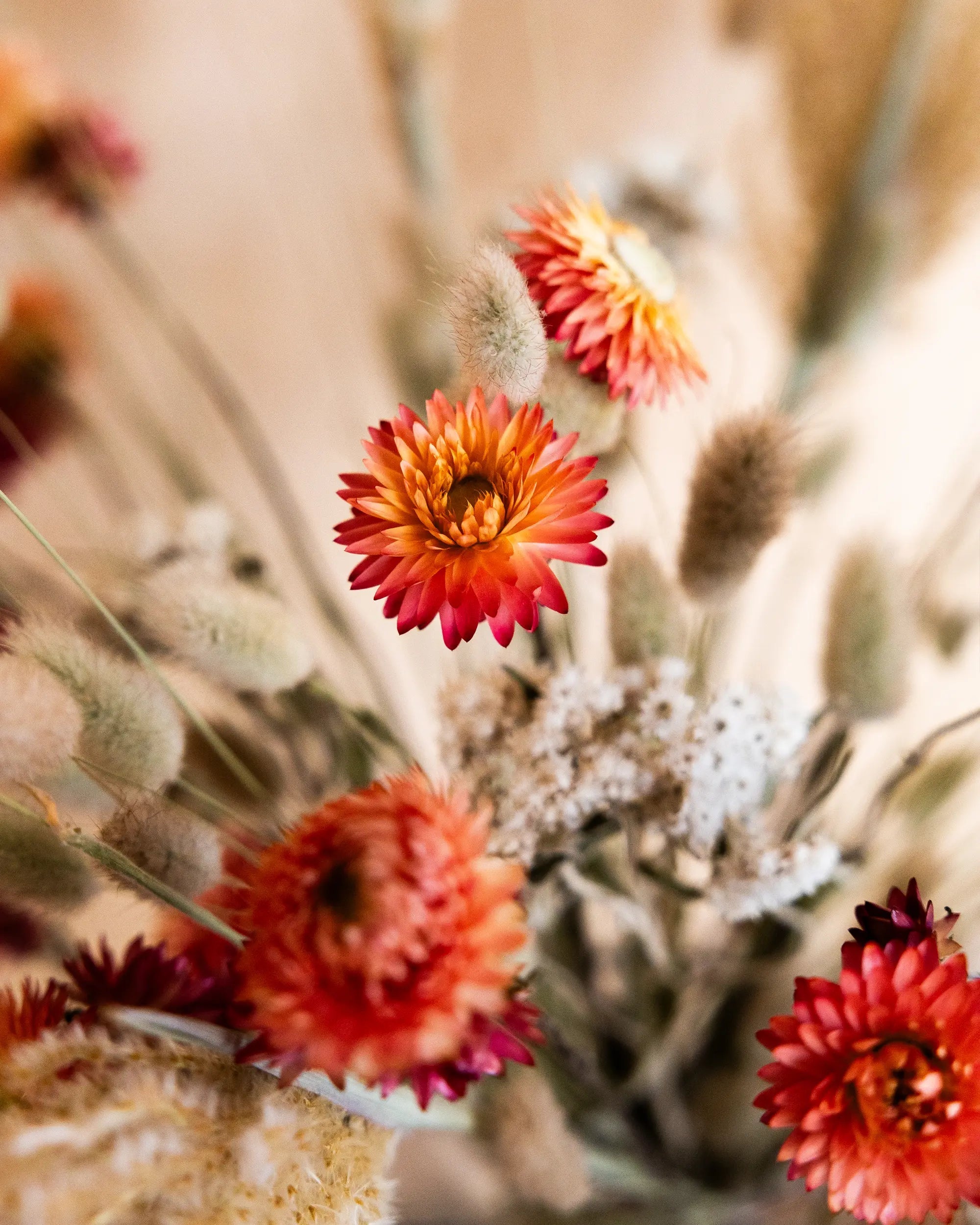 Torkade blommor - Torkad Bukett Aprikos