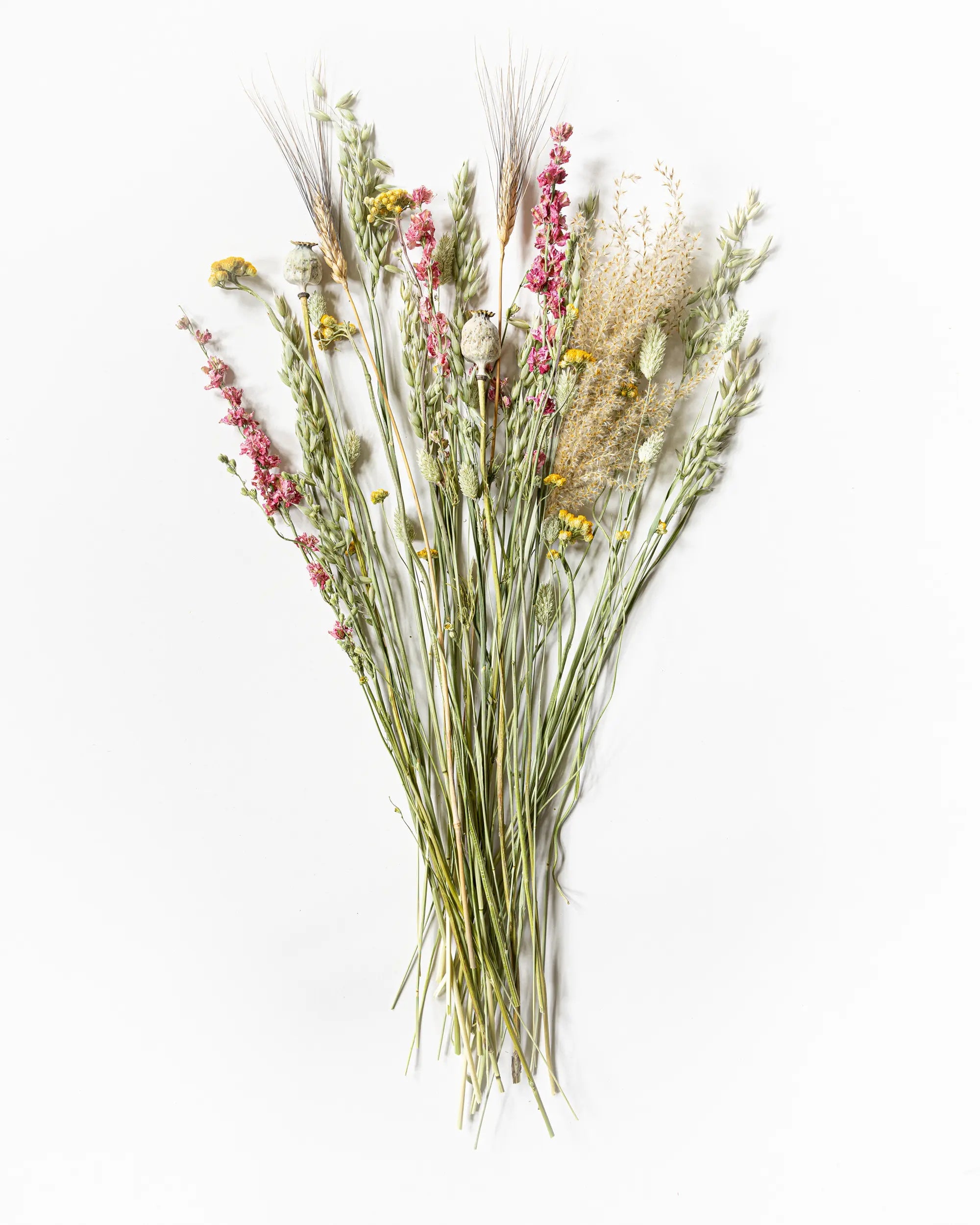 Torkade blommor - Torkad Bukett Gotland