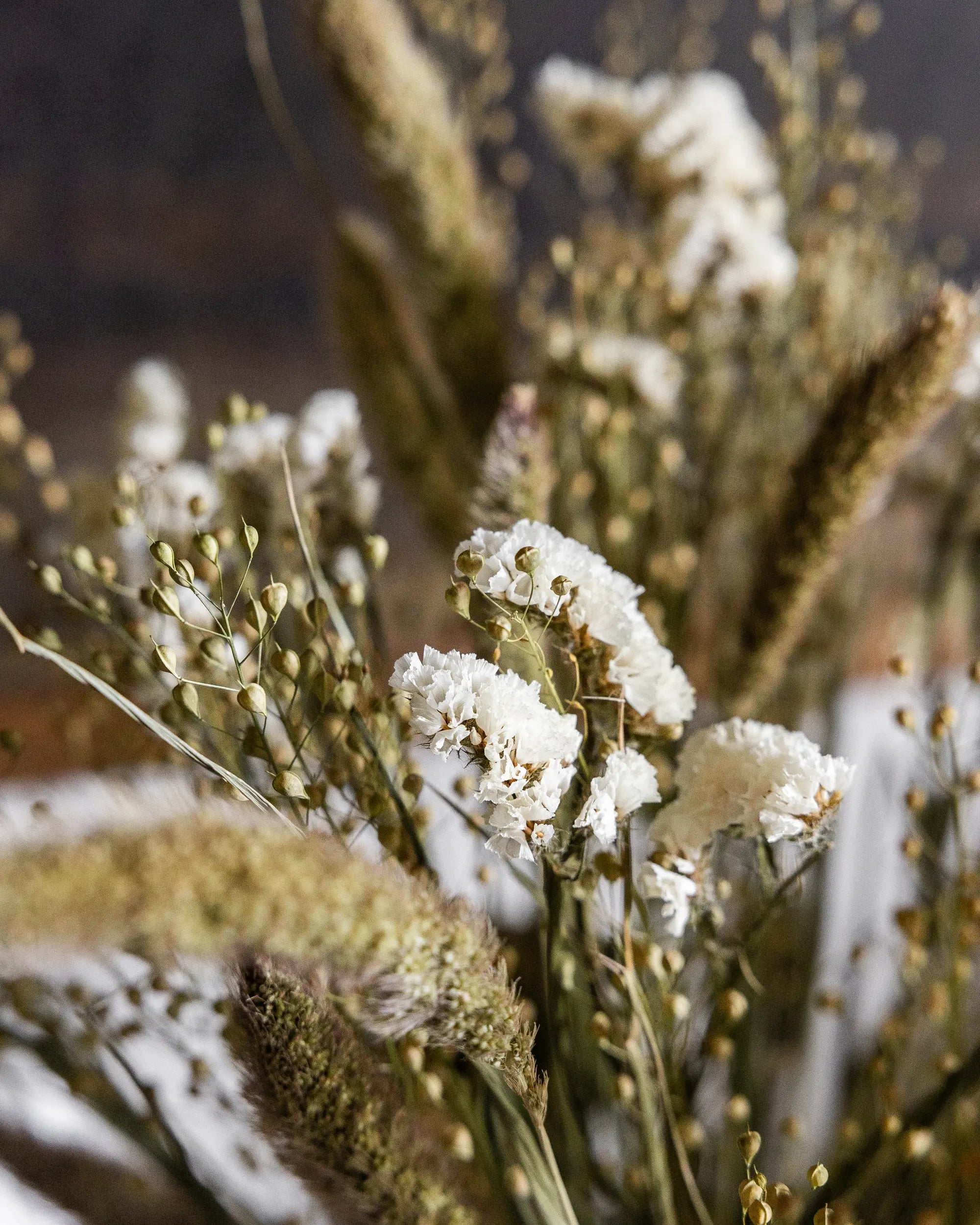 Torkade blommor - Torkad Lepidium