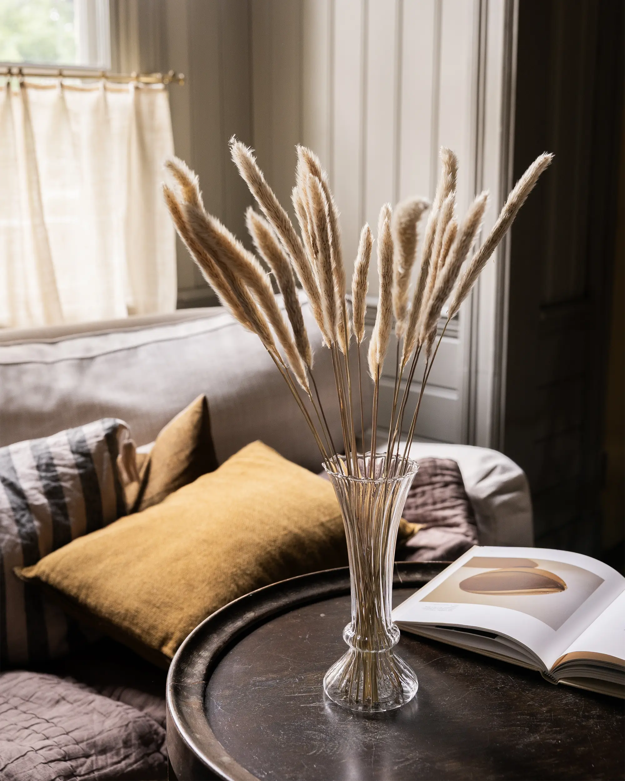Torkad Mini Pampas