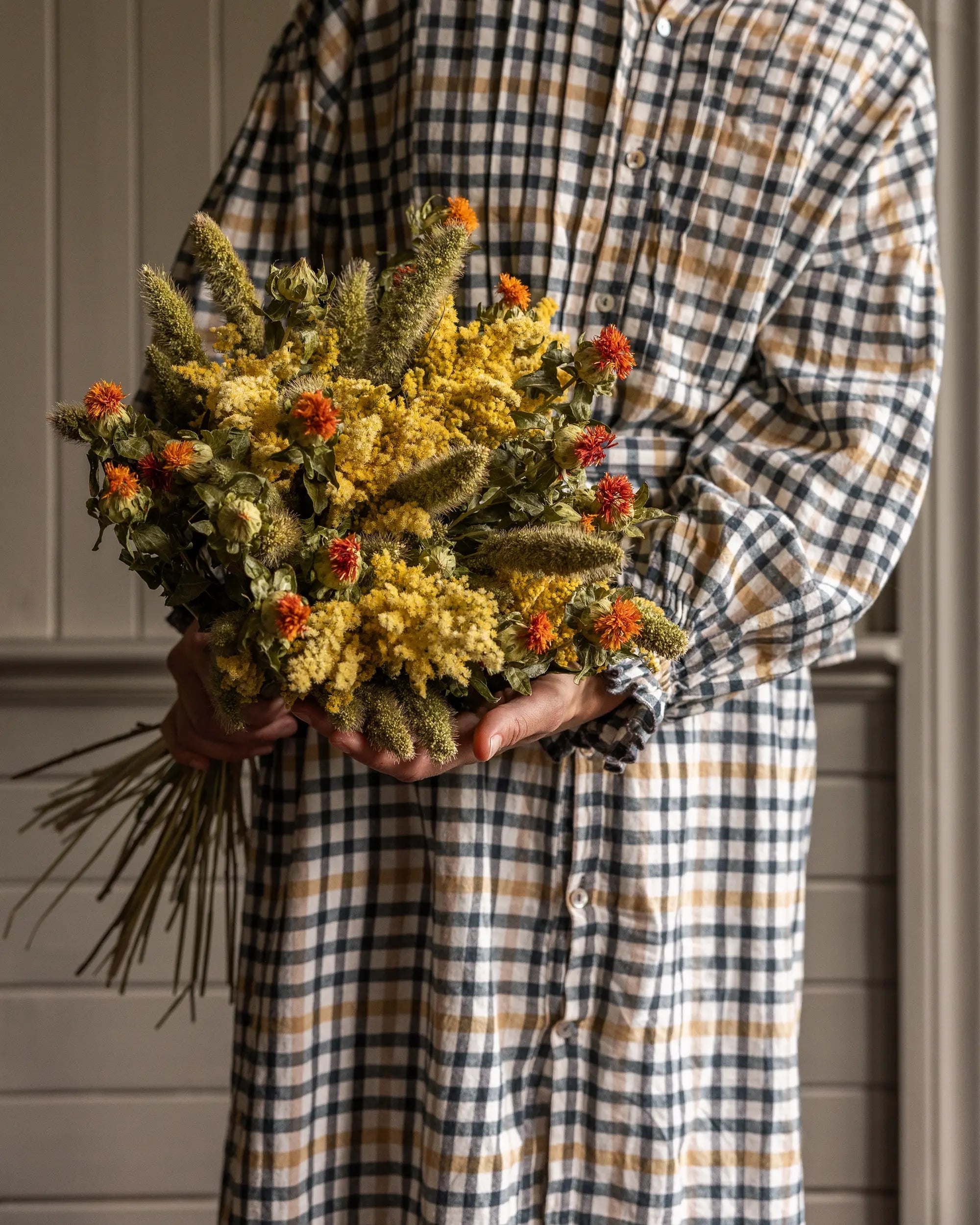 Torkade blommor - Torkad Solidago
