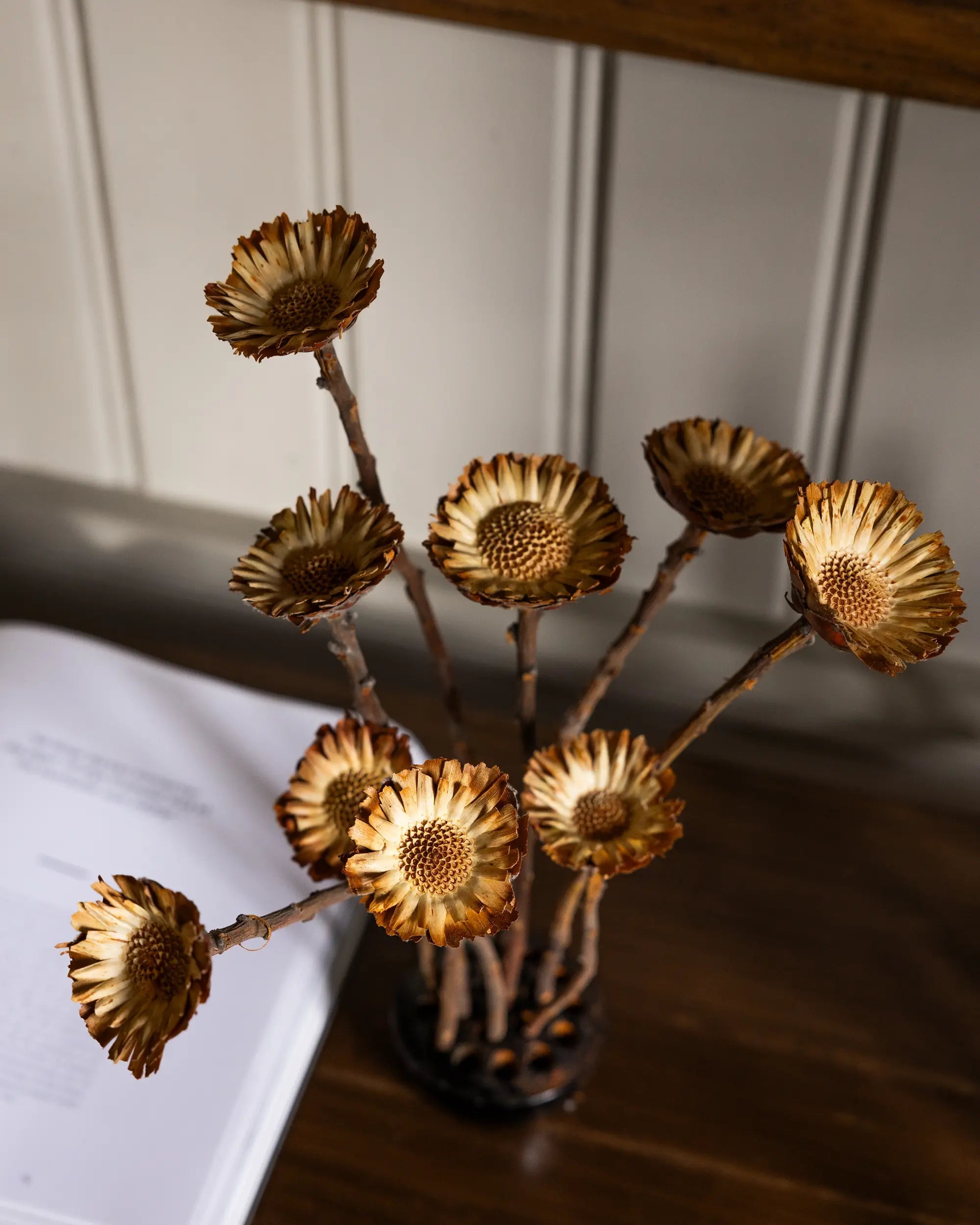 Torkade blommor - Torkade Träblommor