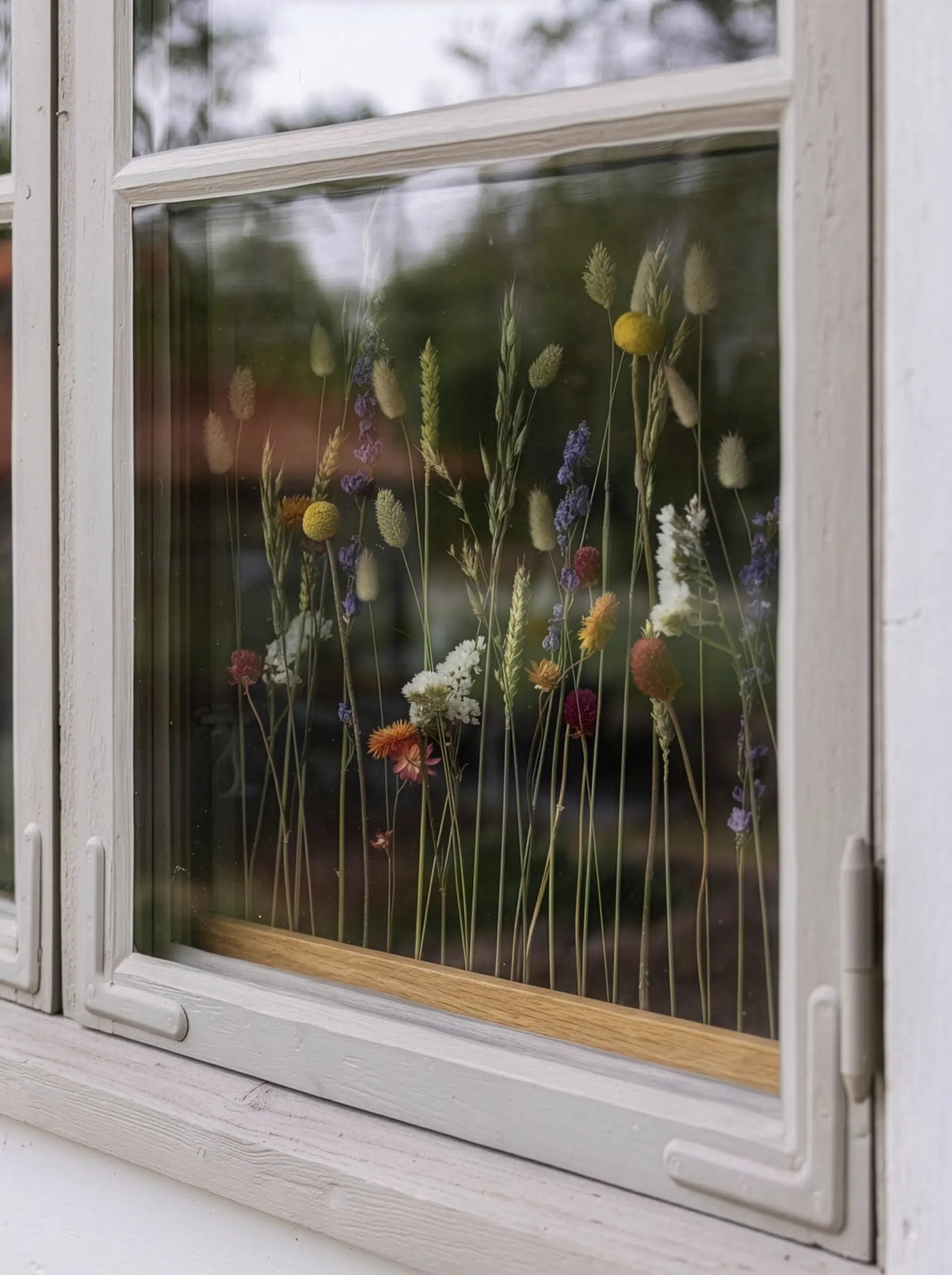 Blomliste Eg - Summer bloom