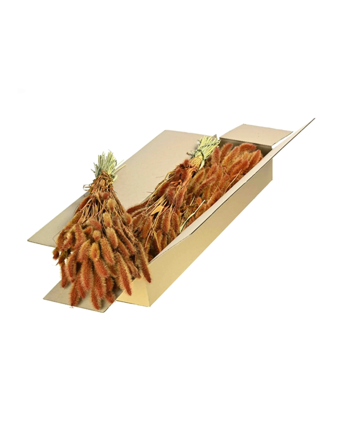 Kolvehirse Terracotta