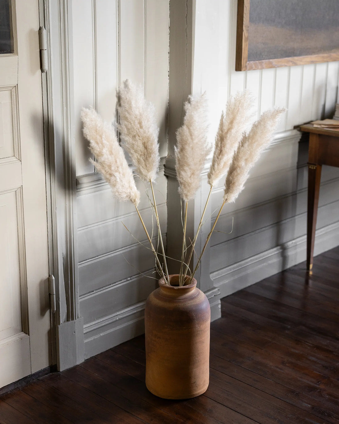 Tørret Mini Pampas