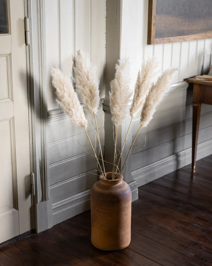 Tørret Mini Pampas