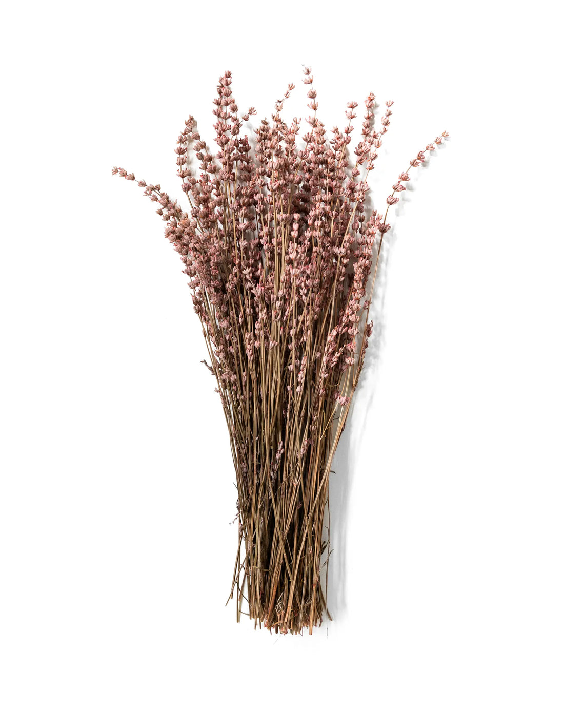 Tørret lavendel lyserød