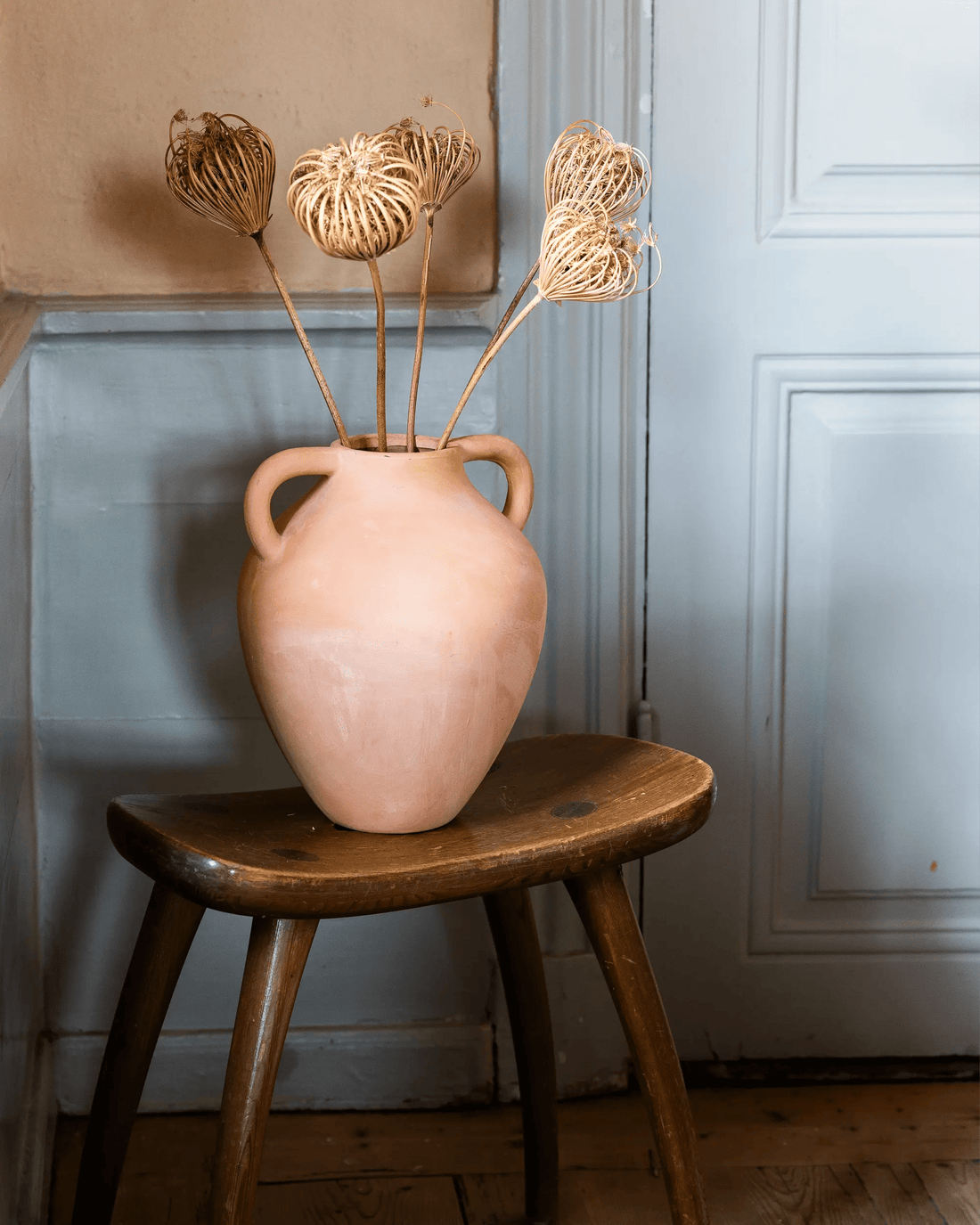 Torkade blommor - Torkad Slöjsilja