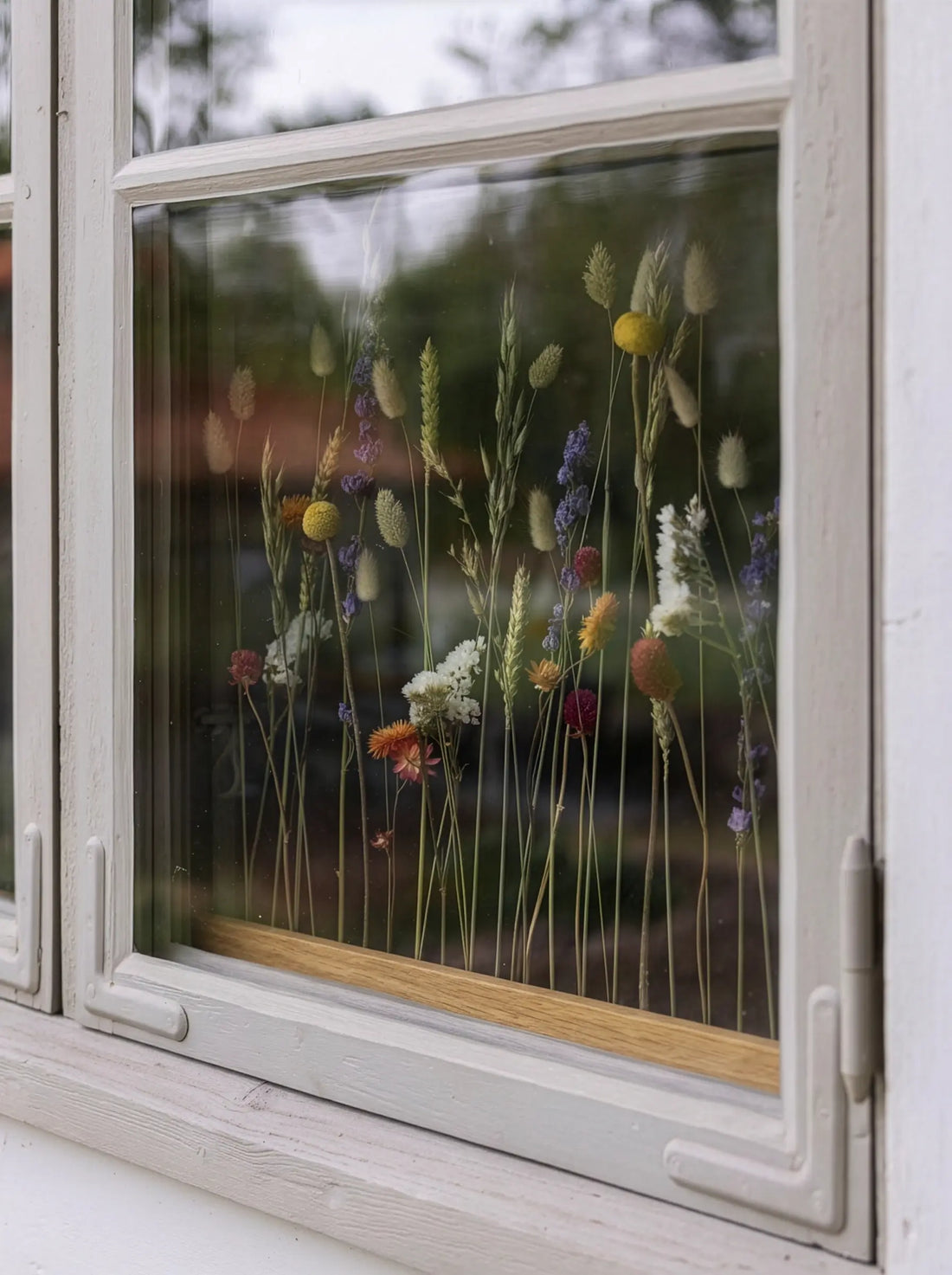 Blomliste Eg - Summer bloom